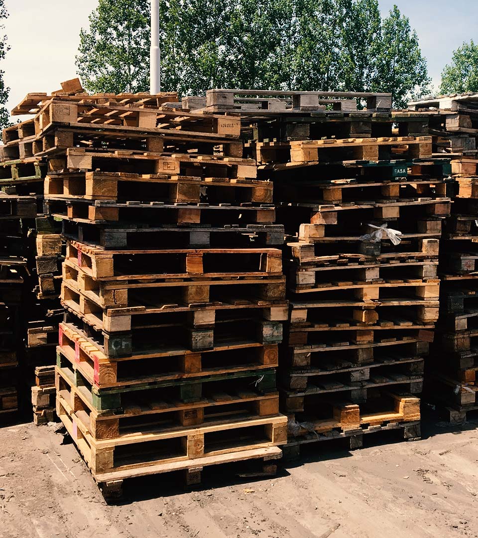 Retiro y Reparación de Pallets