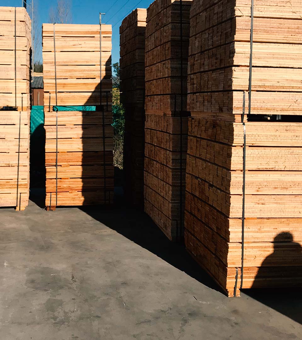 Tratamiento Térmico